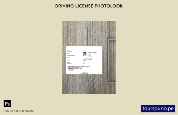 listo para imprimir plantilla de aspecto fotográfico de permiso temporal de lice